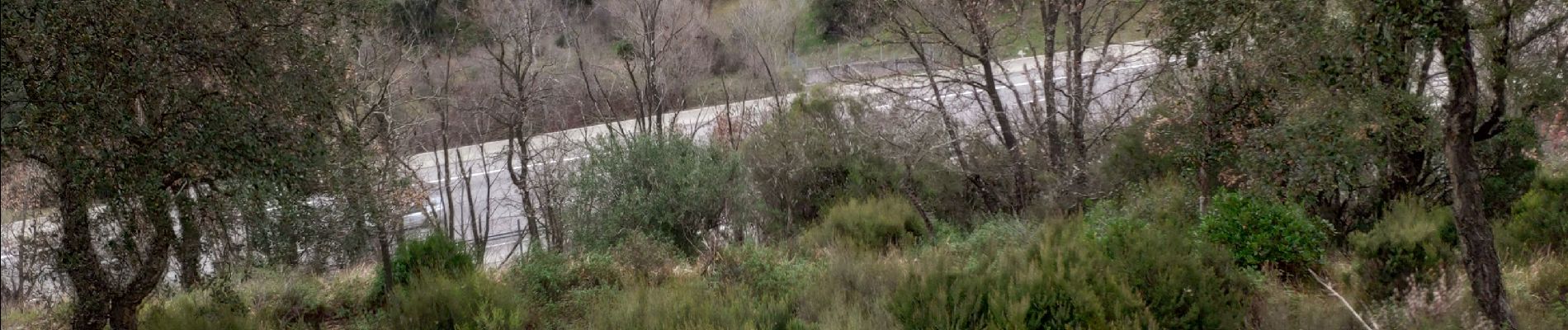 Tocht Te voet Les Adrets-de-l'Estérel - z la Provençale 08 01 18 - Photo