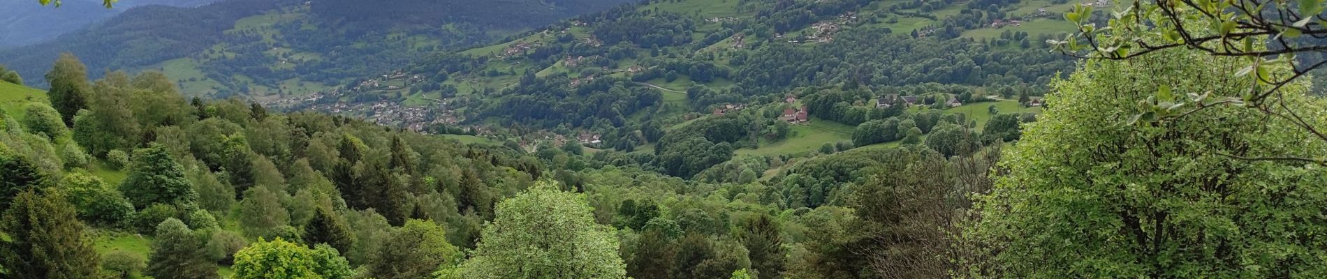 Tour Wandern Sulzern - Lac de Forlet Hohrodberg  - Photo