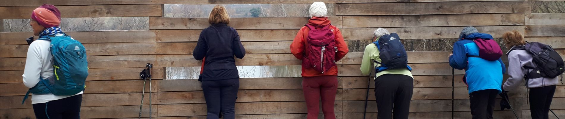 Tocht Noords wandelen Échirolles - Étang de Jarrie en circuit de la Frange Verte - Photo