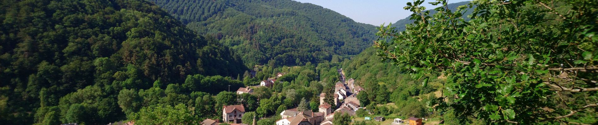 Tocht Stappen Ferrières-Saint-Mary - Cantal - Ferrières-Saint-Mary - Gorges de la Bouzaire - 7.7km 350m 2h50 - 2019 07 01 - Photo