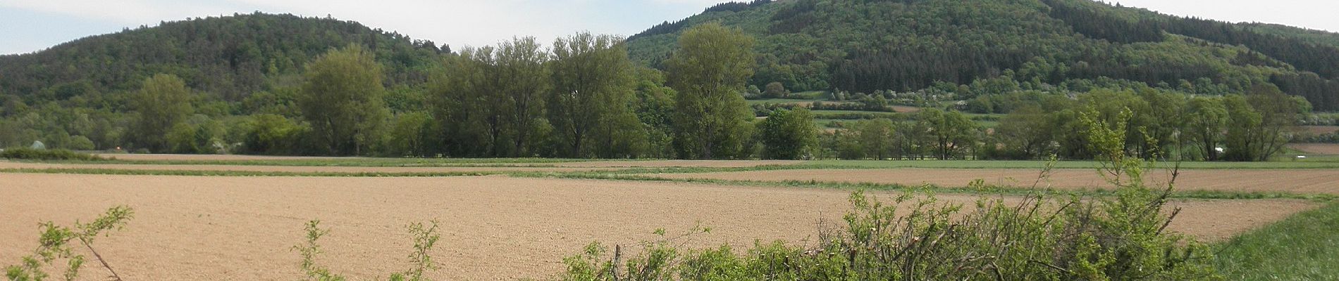 Tour Zu Fuß Dautphetal - Lahnhöhen-Extratour - Photo