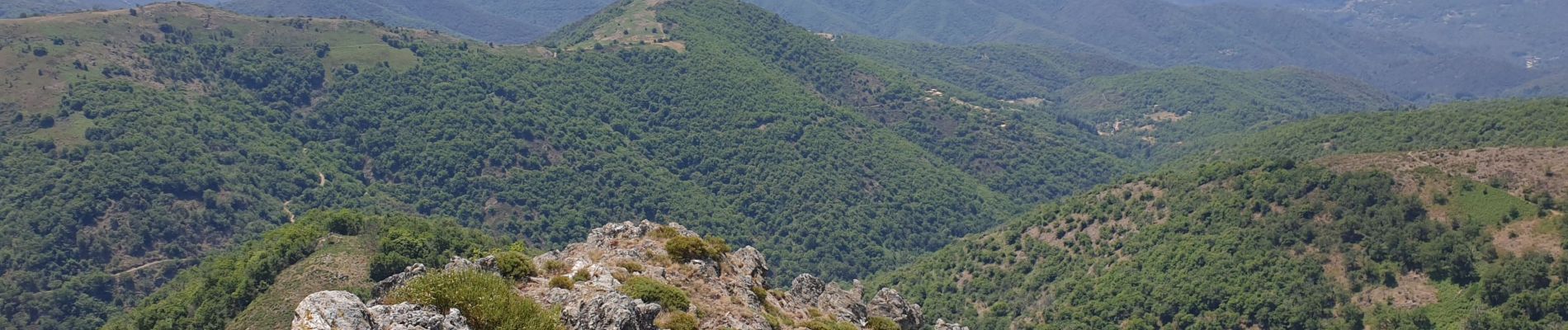 Tour Wandern Val-d'Aigoual - Favieres Col Homme mort Bonperrier par crête Lacan - Photo