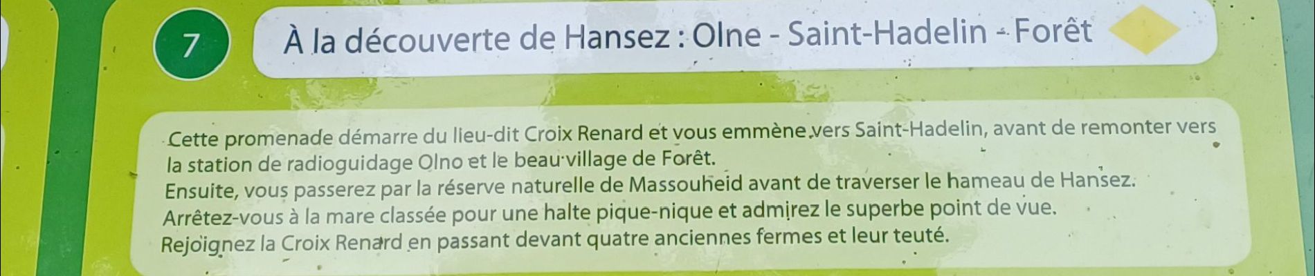 Randonnée Marche Olne - promenade N7 olne - Photo