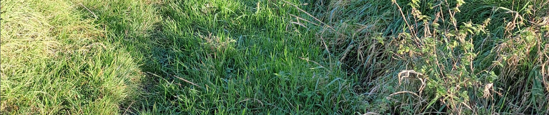 Randonnée V.T.T. Manage - VTT au départ de Bellecourt - Photo