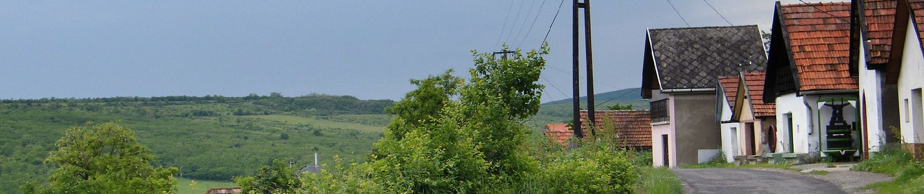 Tour Zu Fuß Gyöngyöspata - SC (Gyöngyöspata) - Photo