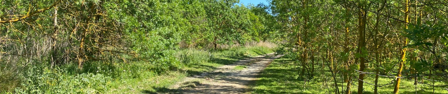 Tour Wandern Torreilles - Boulistes Cave Bourdi Moulin - Photo