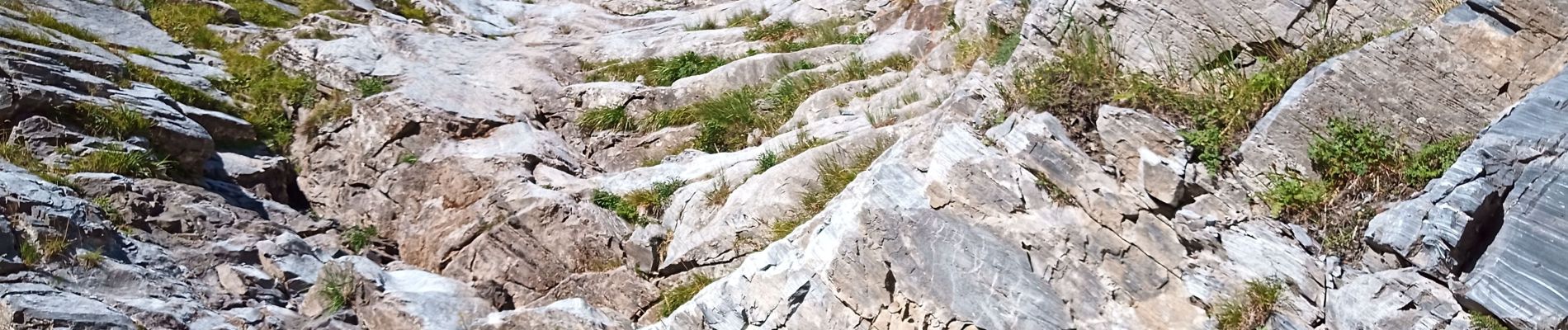 Tocht Stappen Aragnouet - Granges du Moudang - Photo