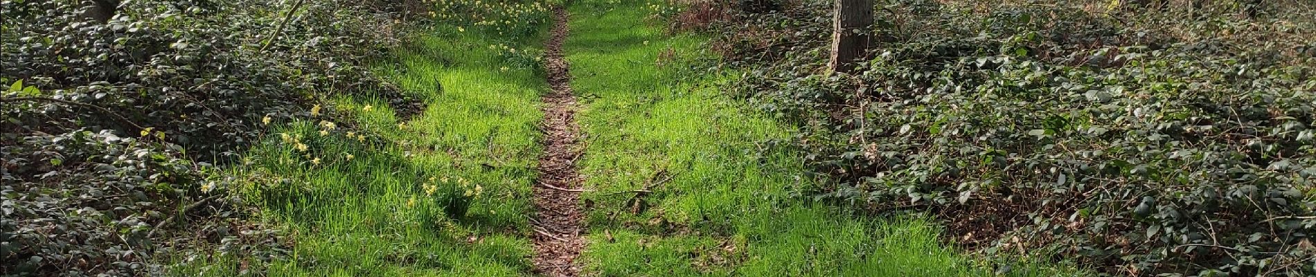 Tocht Noords wandelen Ham-sur-Heure-Nalinnes - Fontenelle, tordoir, gare hsh - Photo