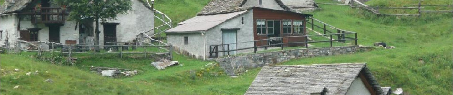 Percorso A piedi Malesco - P16 - Alpe Scaredi - Pizzo Stagno - Photo