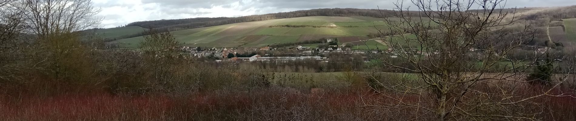 Trail Walking Essômes-sur-Marne - Essômes-sur-Marne du 20/02/2024 - Photo