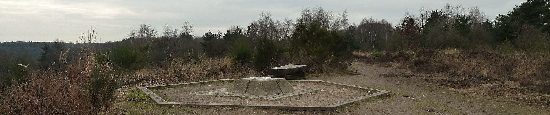 Excursión A pie Maasmechelen - Mechelse Heide Gele zeshoek - Photo