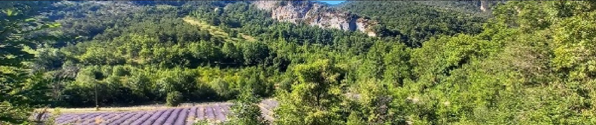 Randonnée Marche Teyssières - Teyssieres Cougoir 12km - Photo