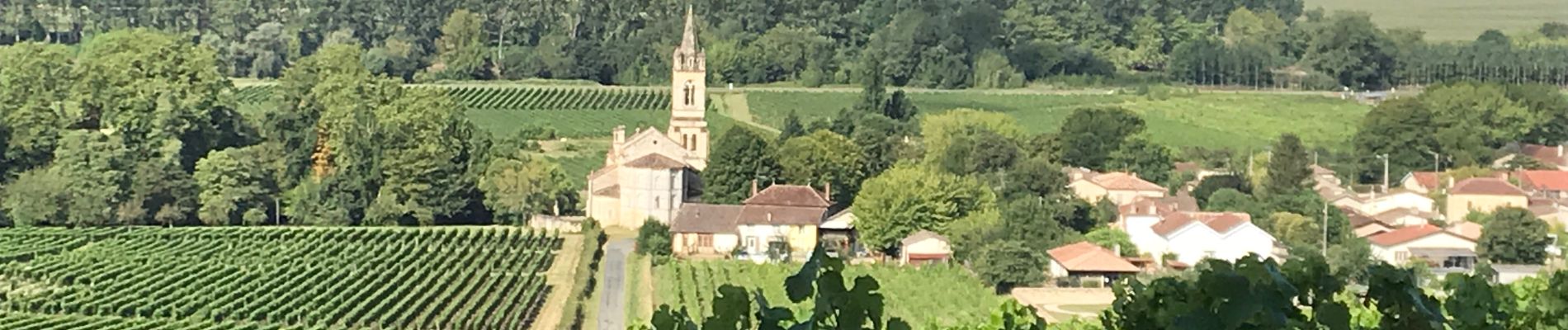 Tour Wandern Loupiac - LSG Loupiac juillet 2019 - Photo