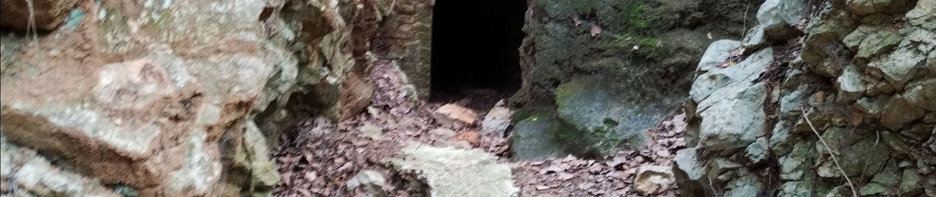 Excursión Senderismo Le Revest-les-Eaux - Grotte Gaspard  - Photo