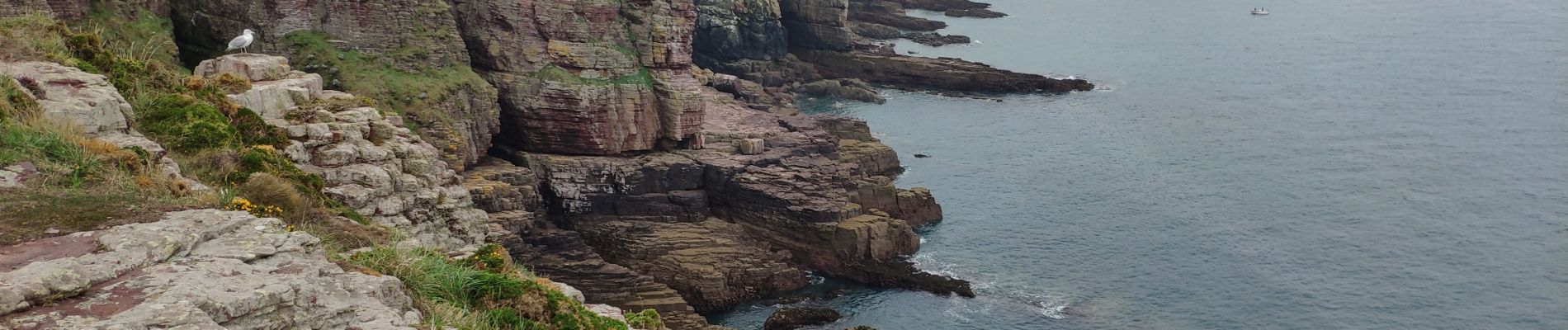 Tocht Stappen Plévenon - Bretagne 2021 : Cap Fréhel - Fort Lalatte.ori - Photo