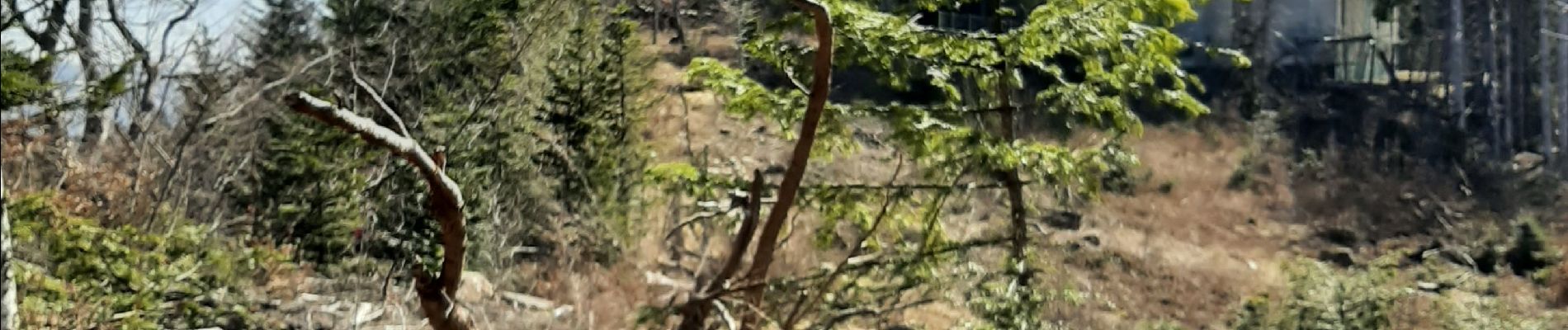 Excursión Marcha nórdica Plateau d'Hauteville - cormaranche 20220326 - Photo