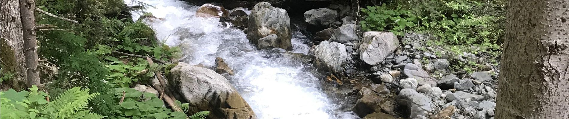 Tour Wandern Villar-Loubière - Petarel prentic  - Photo