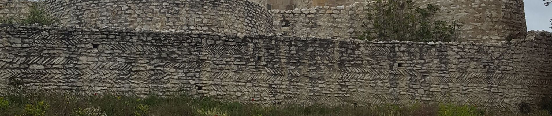 Randonnée Marche Le Thor - Château de Thouzon  - Photo