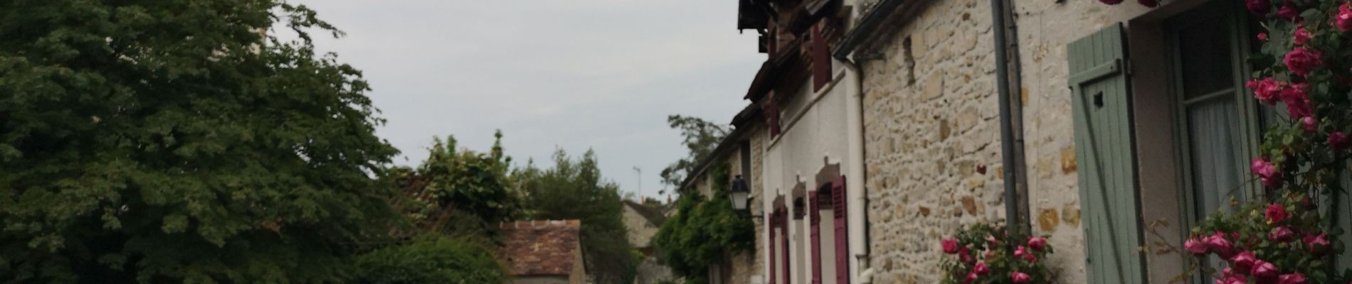 Tour Wandern Bourron-Marlotte - Bourron - Photo