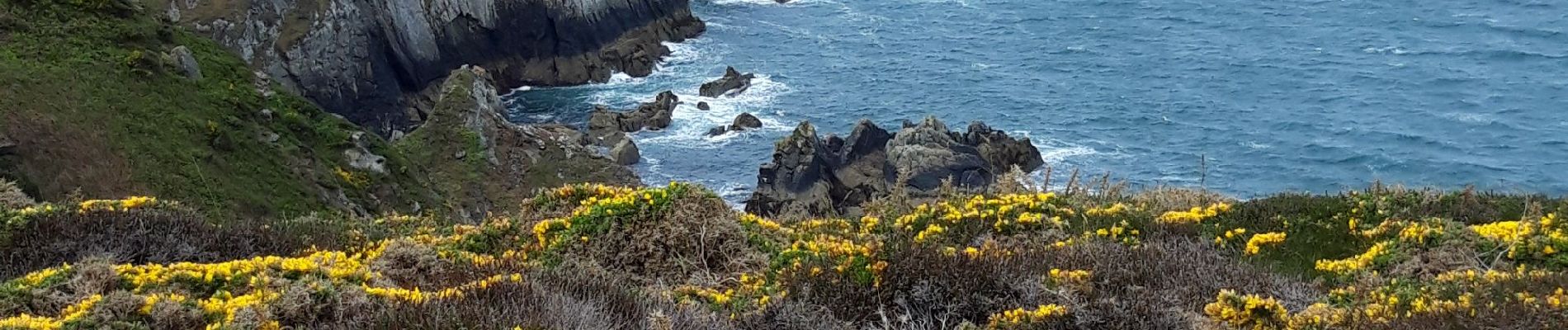 Trail Walking Crozon - pointe des Espagnols  - Photo