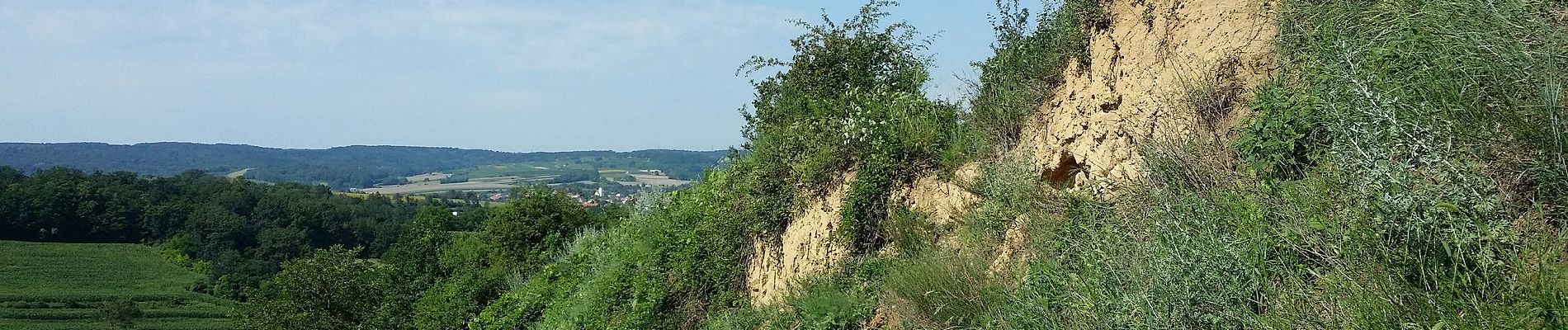 Excursión A pie Gemeinde Ziersdorf - Kiblitzer Weg 3 - Photo