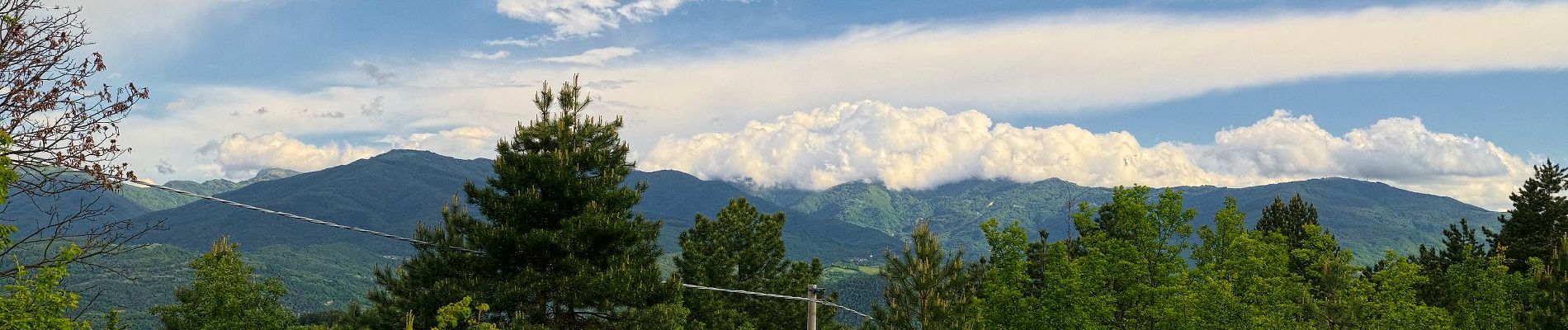 Tocht Te voet Val di Nizza - Anello di Monte Coppini - Photo