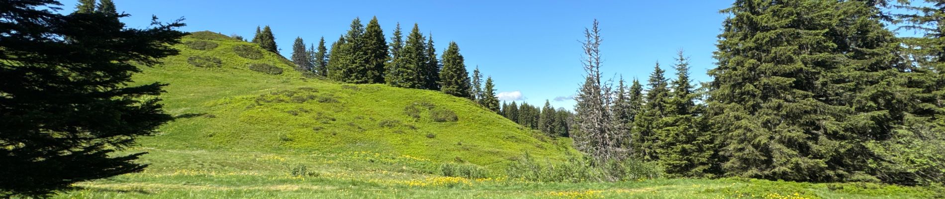 Tour  Morzine - Pouf pouf - Photo