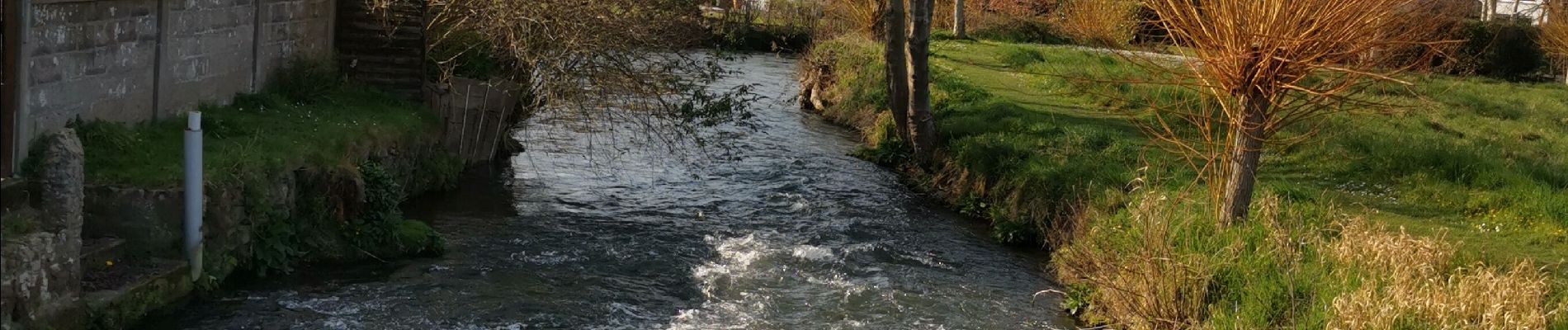 Tour Wandern Criel-sur-Mer - Criel-sur-Mer  - Photo