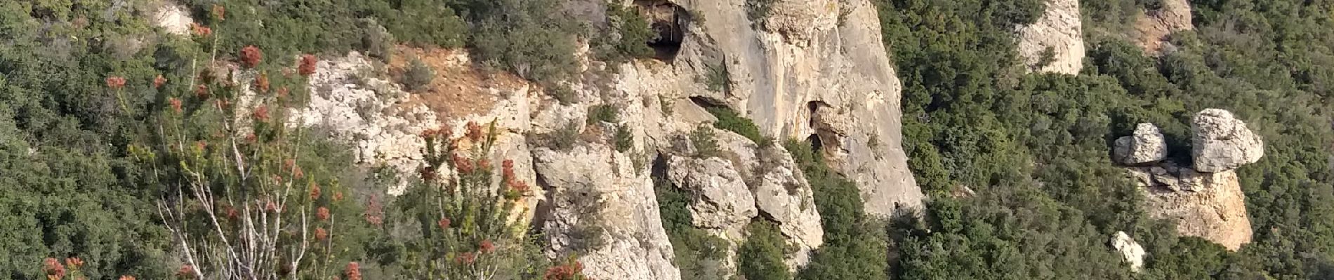 Randonnée Marche La Ciotat - cap nanaille3 - Photo