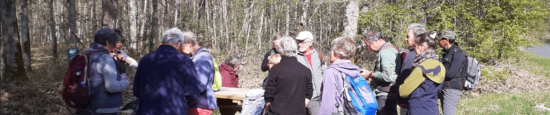 Percorso Marcia Seichebrières - forêt d'Orléans  - Photo