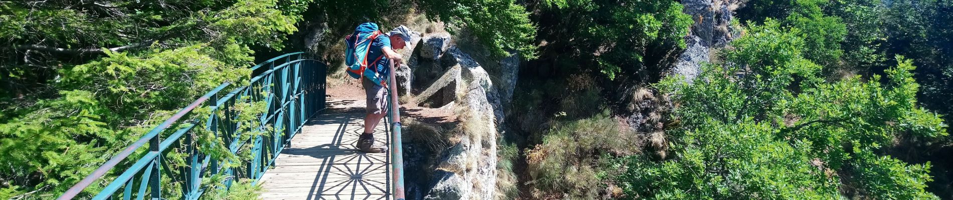 Excursión Senderismo Val-d'Aigoual - vers les cascades d orgon - Photo