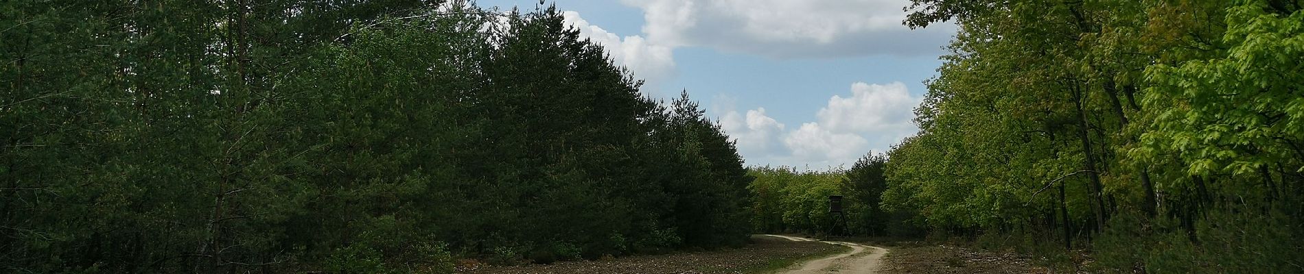 Randonnée A pied Schwepnitz - Walschkenweg - Photo