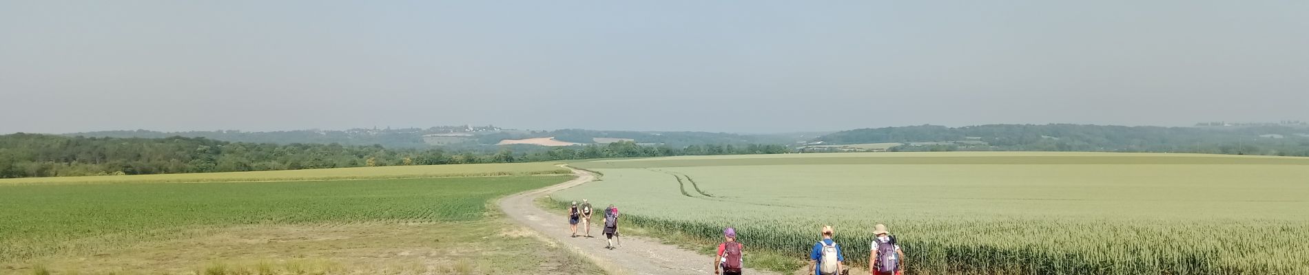 Tour Wandern Coulombs-en-Valois - Coulombs en Valois du 8 Juin 2023 - Photo