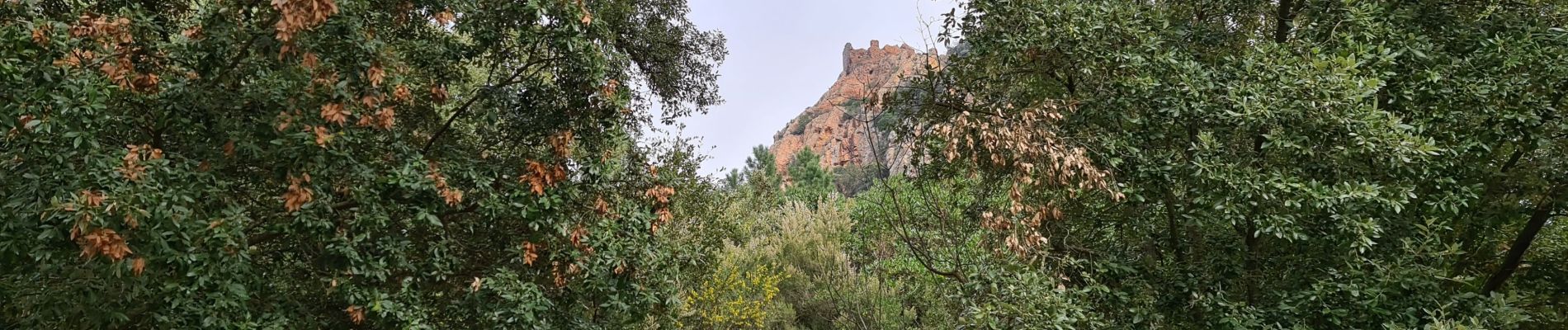 Trail Walking Saint-Raphaël - Pic roux grotte de sainte Baume - Photo