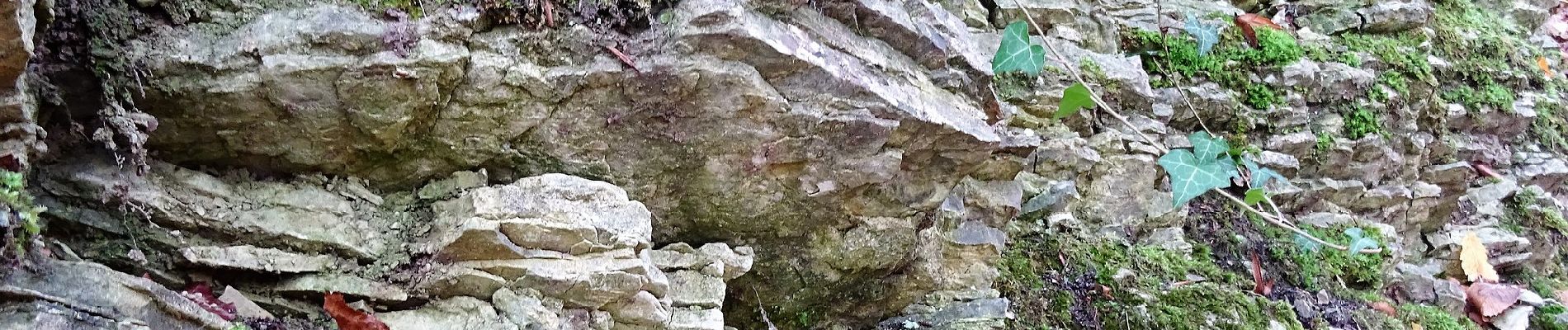 Tour Zu Fuß Bodenwerder - Über die Himckeburg ins romantische Rühler Tal - Photo