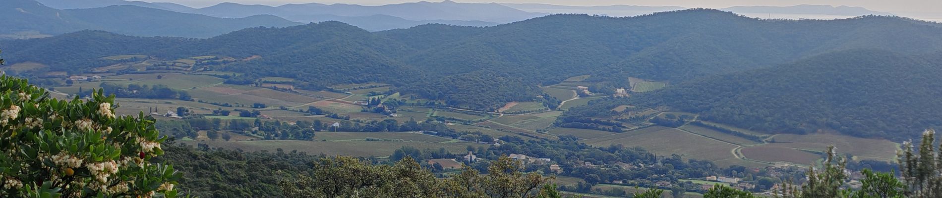 Excursión Senderismo Hyères - Les Borels 