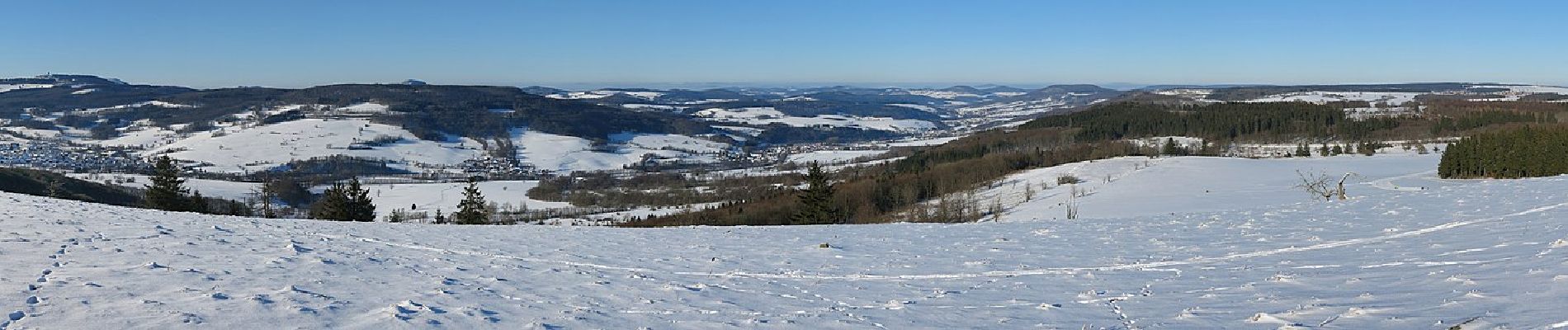 Tocht Te voet Ehrenberg - Seiferts Rundwanderweg 11 - Photo