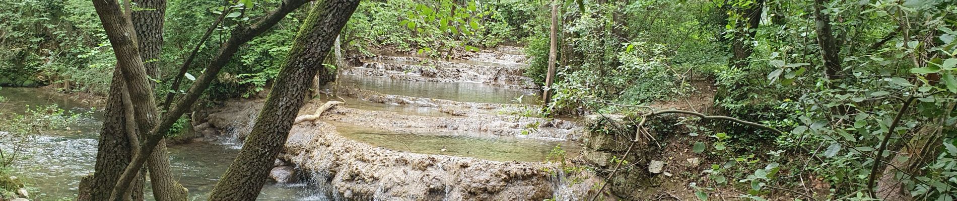 Randonnée Marche Méounes-lès-Montrieux - Le Gapeau vers Belgentier - Photo