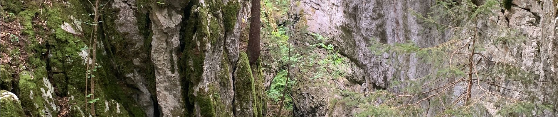 Percorso Marcia Corrençon-en-Vercors - La glacière par le pas des chèvres  - Photo