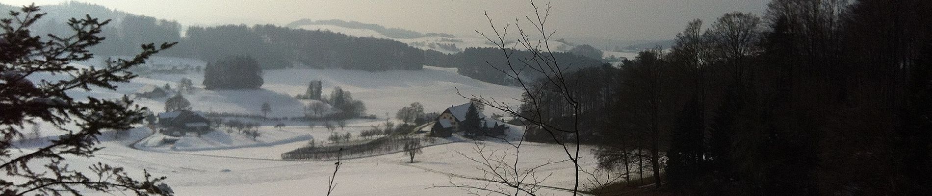 Percorso A piedi Pfaffnau - Fröschengüllen - Äberdingen - Photo