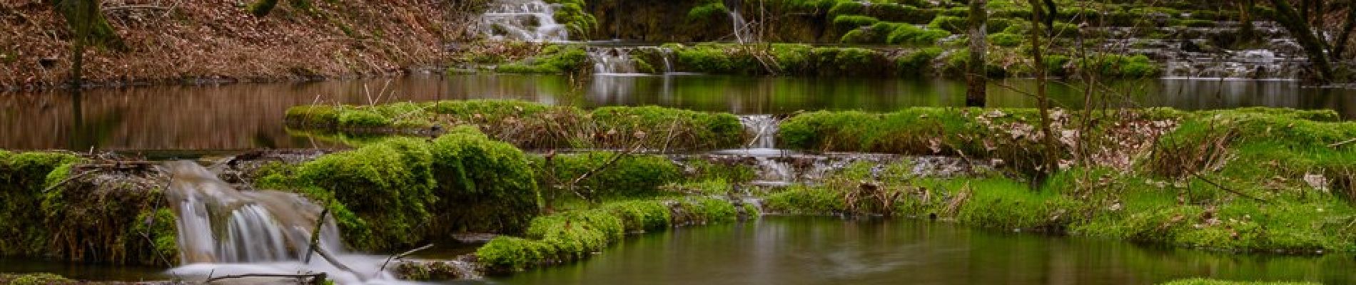 Tour Zu Fuß Greding - Greding 5 - Photo