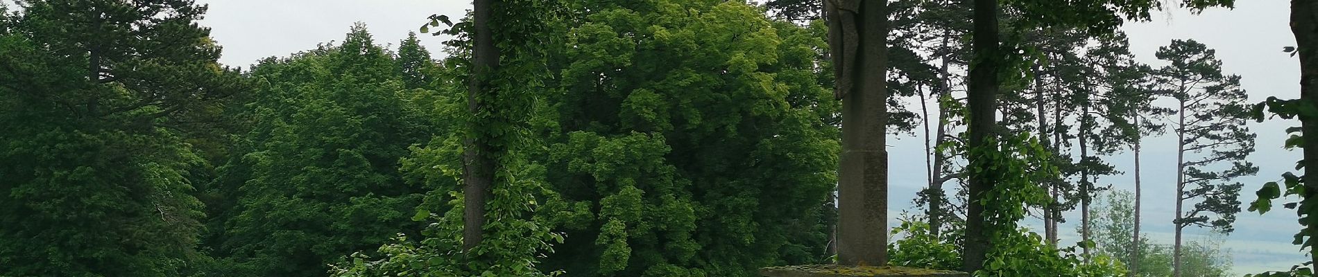 Tour Zu Fuß Schleid - Geisaer Amt - Rundwanderweg 2 - Photo