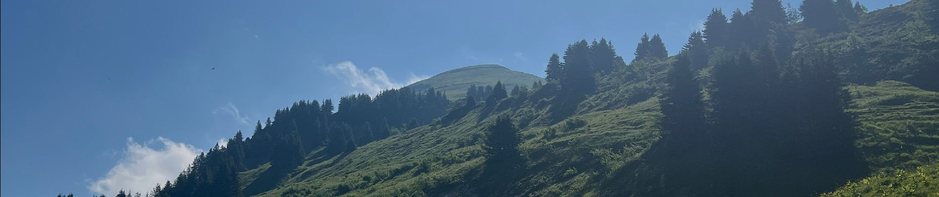 Excursión Senderismo Samoëns - La tête de Bostan - Photo