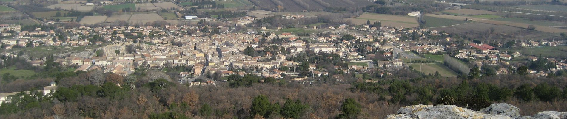 Randonnée A pied Vernègues - Vernègues - Photo