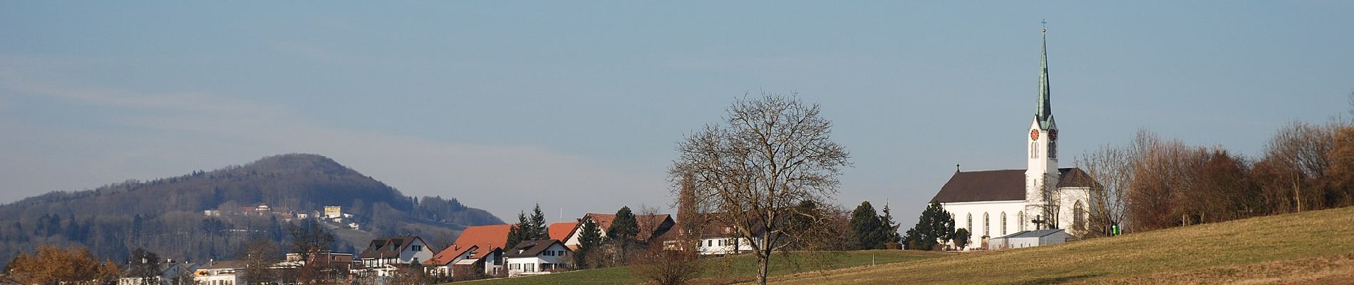 Tour Zu Fuß Berikon - Ober Berikon - Hafnerberg - Photo