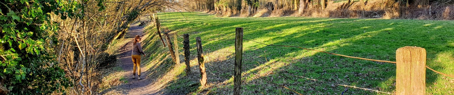 Trail Walking Chaumont-Gistoux - Bonlez - Longueville - Photo