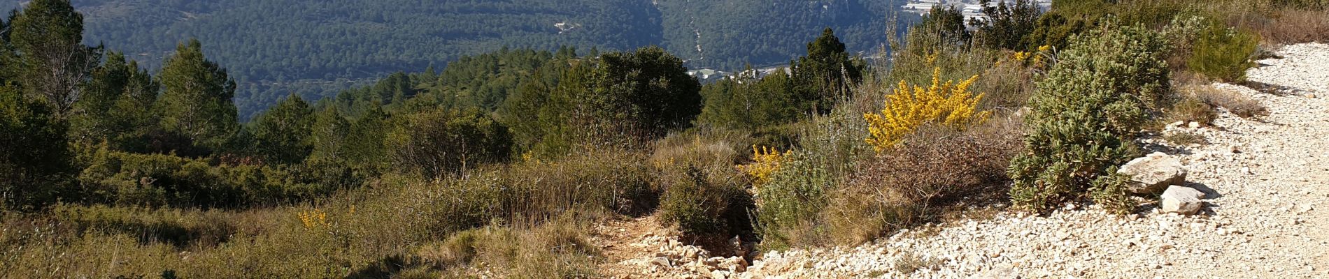 Trail Walking Gémenos - Coulin, Mont Cruvelier, Sommet de Bigou - Photo