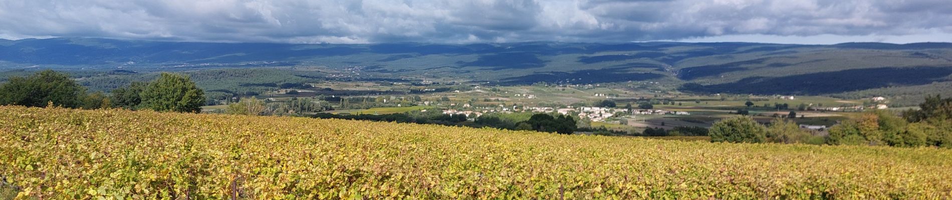 Randonnée Marche Blauvac - Un automne à Blauvac - Photo