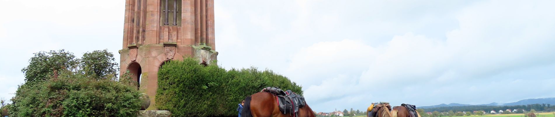 Trail Horseback riding Lampertsloch - suuntoapp-HorsebackRiding-2024-10-02T07-31-37Z - Photo