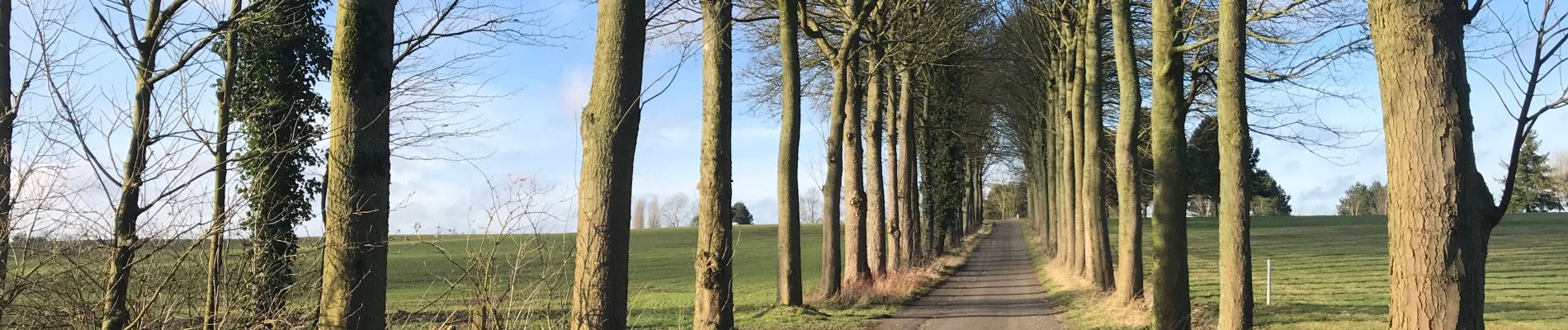 Trail Walking Villers-la-Ville - Autour du Golf de Rigenée - Photo